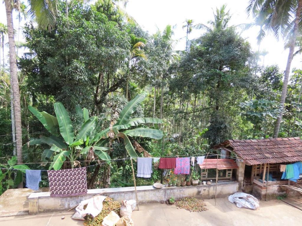 Spice Garden Farm House Sultan Bathery Exterior foto